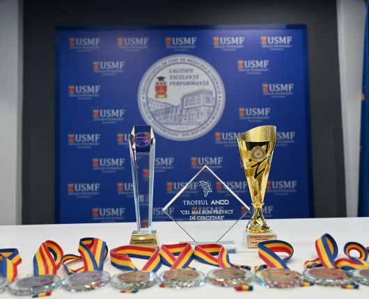 Research and innovation at ”Ncolae Testemitanu” University